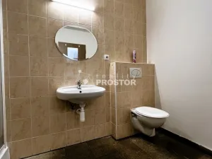 Pronájem bytu 2+kk, Mělník, Řípská, 51 m2