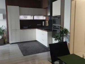 Pronájem bytu 2+kk, Brno - Slatina, Kigginsova, 52 m2