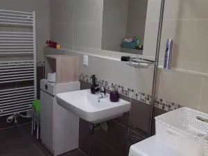 Pronájem bytu 2+kk, Brno - Slatina, Kigginsova, 52 m2