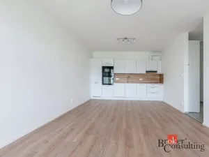 Pronájem bytu 2+kk, Plzeň - Východní Předměstí, Zahradní, 69 m2
