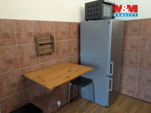 Pronájem bytu 1+kk, Slaný, Na Dolíkách, 33 m2