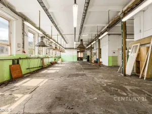 Pronájem skladu, Děčín, Rudolfova, 225 m2