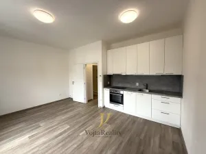 Pronájem bytu 1+kk, Olomouc, Bořivojova, 28 m2