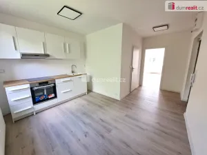 Pronájem bytu 1+1, Ústí nad Labem - Ústí nad Labem-centrum, Masarykova, 40 m2