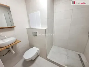 Pronájem bytu 1+1, Ústí nad Labem - Ústí nad Labem-centrum, Masarykova, 40 m2