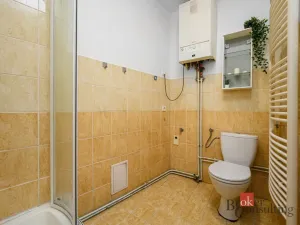 Prodej činžovního domu, Liberec - Liberec I-Staré Město, Ruprechtická, 285 m2