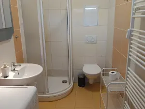 Pronájem bytu 1+kk, Brno, Francouzská, 25 m2