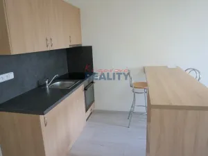 Pronájem bytu 1+kk, České Budějovice - České Budějovice 2, Labská, 27 m2