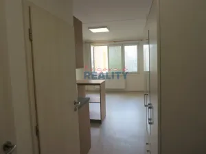 Pronájem bytu 1+kk, České Budějovice - České Budějovice 2, Labská, 27 m2