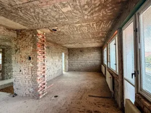 Prodej rodinného domu, Vědomice, Dlouhá, 352 m2