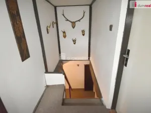 Pronájem komerční nemovitosti, Chbany - Vikletice, 596 m2