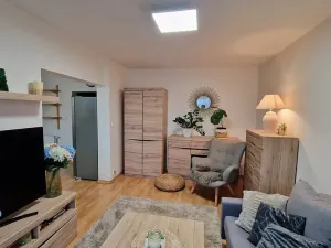 Pronájem bytu 3+1, Olomouc, 71 m2