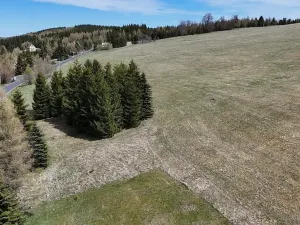 Prodej pozemku pro bydlení, Loučná pod Klínovcem, 1279 m2