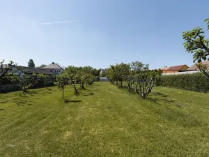 Prodej rodinného domu, Dašice, Nábřeží, 120 m2