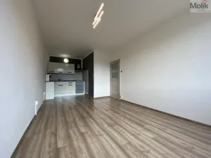 Pronájem bytu 2+kk, Most, Jaroslava Haška, 40 m2