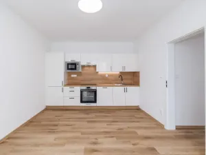 Prodej bytu 2+kk, České Budějovice, K. Chocholy, 48 m2