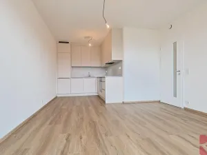 Pronájem bytu 2+kk, Praha - Kamýk, Hodkovická, 56 m2
