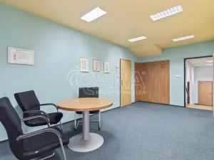 Prodej komerční nemovitosti, Praha - Petrovice, Novopetrovická, 1433 m2
