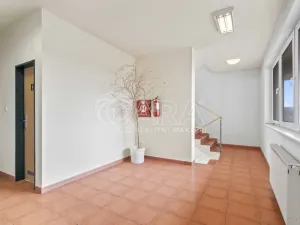 Prodej komerční nemovitosti, Praha - Petrovice, Novopetrovická, 1433 m2