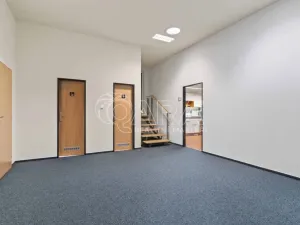 Prodej pozemku pro bydlení, Praha - Petrovice, Novopetrovická, 4543 m2