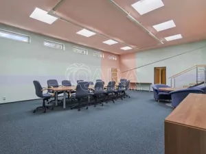 Prodej pozemku pro bydlení, Praha - Petrovice, Novopetrovická, 4543 m2