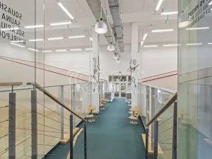 Prodej pozemku pro bydlení, Praha - Petrovice, Novopetrovická, 4543 m2