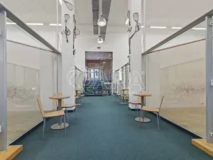 Prodej pozemku pro bydlení, Praha - Petrovice, Novopetrovická, 4543 m2