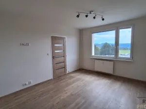 Pronájem bytu 1+1, Ústí nad Labem, Kmochova, 32 m2