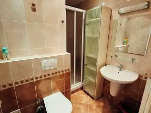 Pronájem bytu 1+kk, Praha - Žižkov, Jeseniova, 20 m2