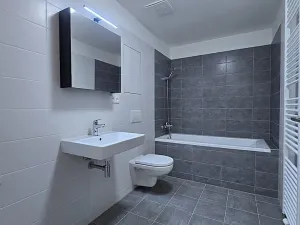 Pronájem bytu 1+kk, Benešov, 102. pluku, 42 m2
