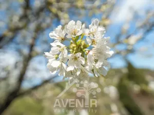 Prodej pozemku pro bydlení, Kašava, 1638 m2