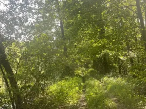 Prodej rybníku, Chlum u Třeboně - Žíteč, 130000 m2
