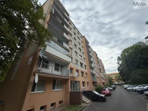 Prodej bytu 3+1, Most, Jana Kubelíka, 55 m2