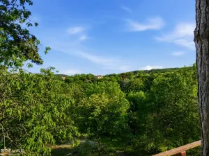 Prodej chaty, Silůvky, 34 m2