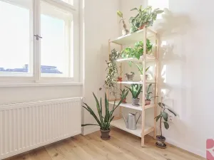Prodej bytu 3+kk, Praha - Žižkov, Hartigova, 69 m2