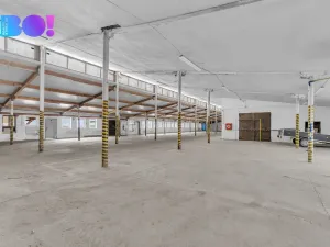 Pronájem výrobních prostor, Morašice, 2657 m2
