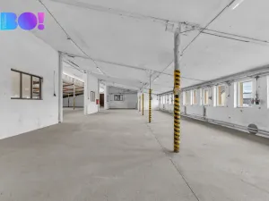 Pronájem výrobních prostor, Morašice, 2657 m2