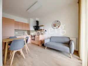 Pronájem bytu 2+kk, Praha - Karlín, Breitfeldova, 40 m2