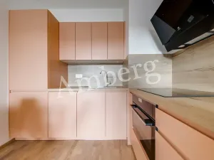 Pronájem bytu 2+kk, Praha - Karlín, Breitfeldova, 40 m2