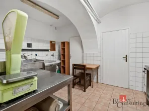 Prodej historického objektu, Litoměřice - Litoměřice-Město, Novobranská, 499 m2