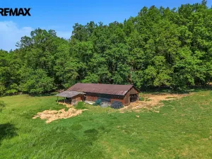 Prodej zemědělského objektu, Nová Ves, 375 m2