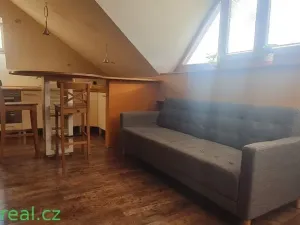 Pronájem bytu 1+kk, Brno, Kohoutova, 50 m2