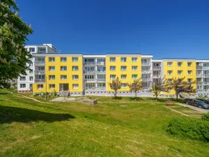 Prodej bytu 3+1, Tachov, Želivského, 61 m2
