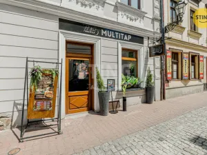 Prodej komerční nemovitosti, Český Těšín, 84 m2