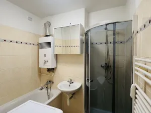 Pronájem bytu 1+1, Frýdek-Místek, Lidická, 43 m2