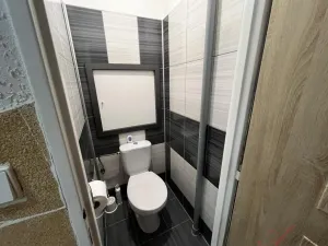 Pronájem bytu 2+1, Studénka - Butovice, A. Dvořáka, 54 m2