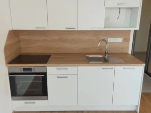 Prodej bytu 1+kk, Plzeň - Jižní Předměstí, Železná, 41 m2