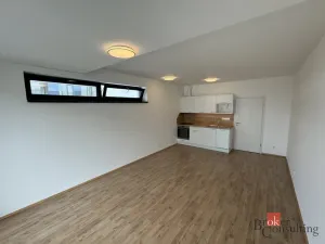 Prodej bytu 1+kk, Plzeň - Jižní Předměstí, Železná, 41 m2