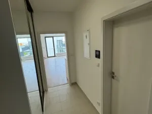 Prodej bytu 1+kk, Plzeň - Jižní Předměstí, Železná, 41 m2