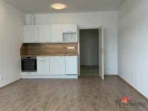 Prodej bytu 1+kk, Plzeň - Jižní Předměstí, Železná, 46 m2